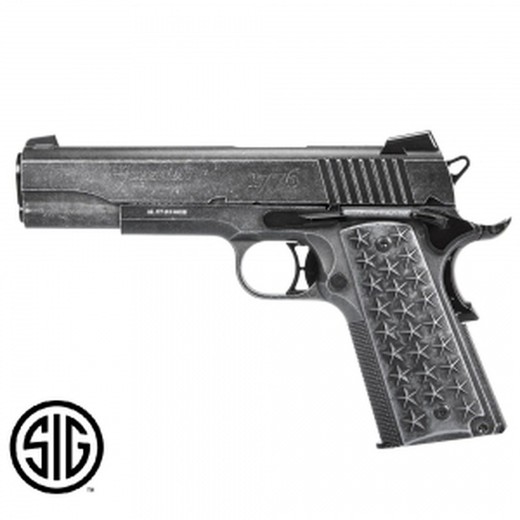 Pistola Sig Sauer Wtp Co2 - 4,5 Mm Bbs Acero - Blowback