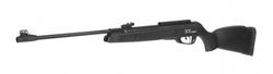 Black 1000 Igt 4.5 Gamo