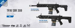 Tr16 Sbr 308 Mki G&G