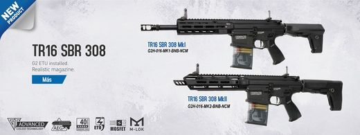Tr16 Sbr 308 Mki G&G
