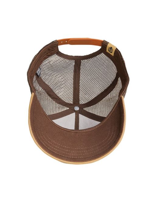 Gorra Tyr Coyote Ragnar Raids