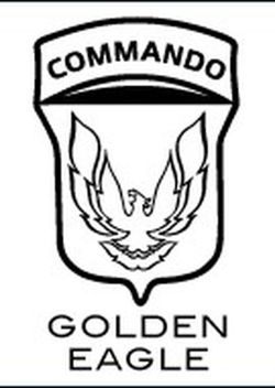 M4 A1 Cqb Golden Eagle Cuerpo En Abs