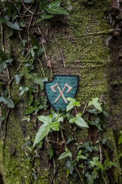 Parche Balder Mk1 Woodland Ragnar Raids