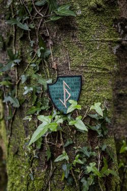 Parche Balder Mk3 Woodland Ragnar Raids