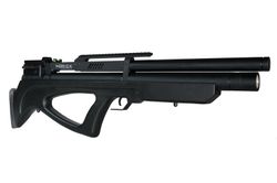 Viriatus Bp Tg Norica